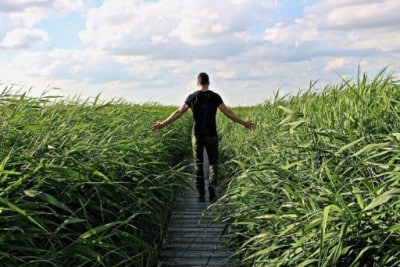 Bewegung Spaziergang Traumfigur