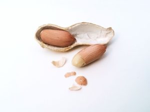 Erdnuss Peanut